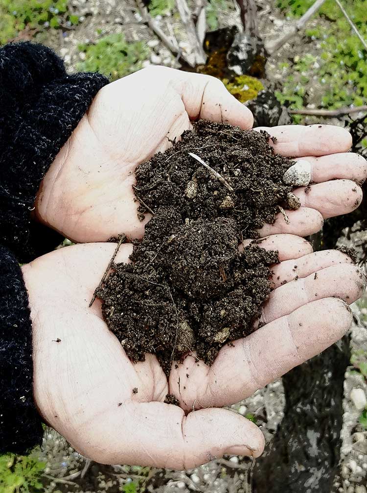 Le Domaine Drouet devient exploitation à Haute Valeur Environnementale