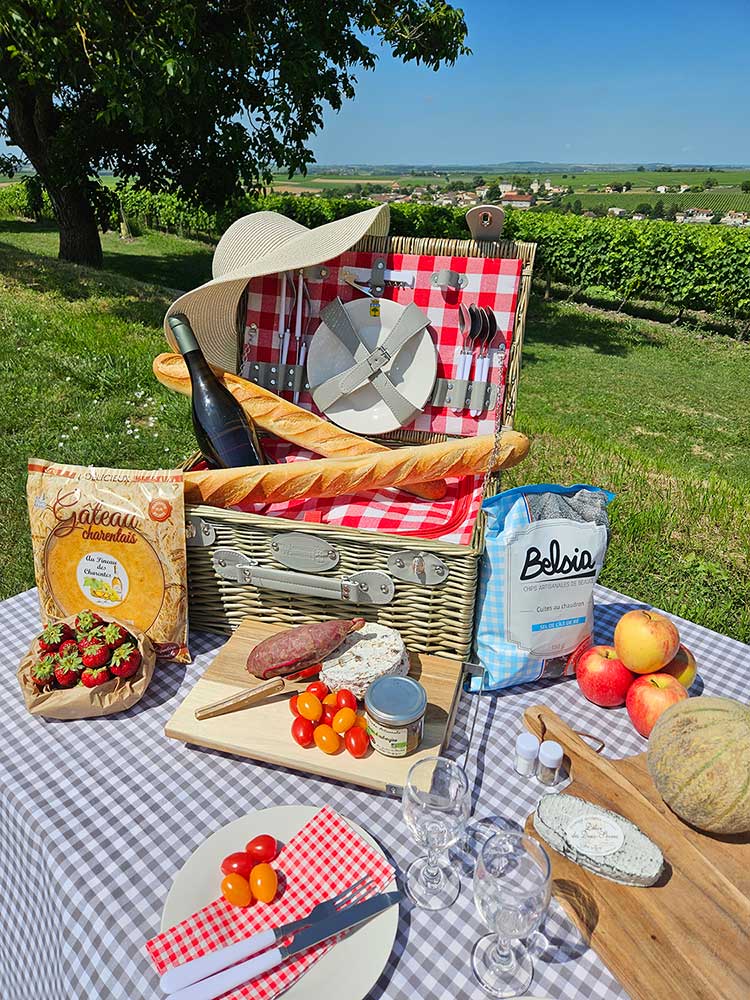 July-August 2024 | Picnic in our vineyards or scenic electric bike ride