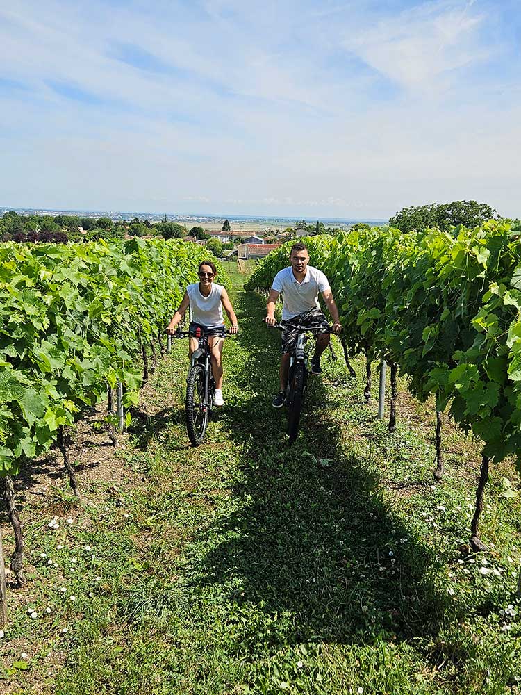 July-August 2024 | Picnic in our vineyards or scenic electric bike ride